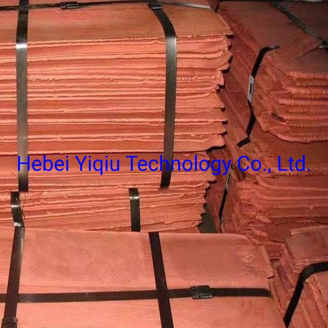 Cathode Copper Waste Sheet Thermal Conductivity Standard Mould Cu Cath T2 C11000 Cathode Purple Electrode Red Copper Wholesale Red Copper